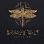 Dragonfly Experience